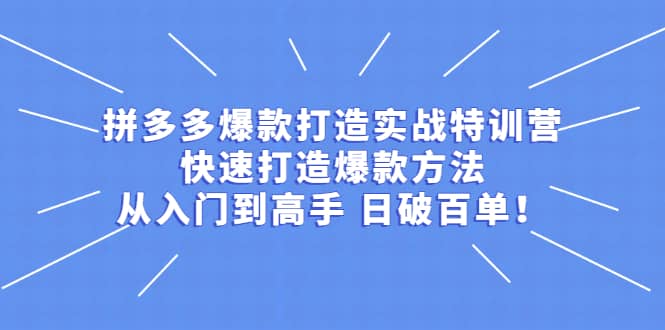 拼多多爆款打造实战特训营：快速打造爆款方法，从入门到高手 日破百单-爱省资源网