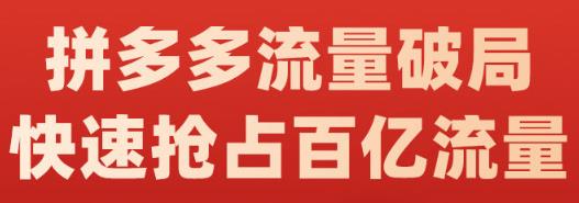 阿杰·拼多多流量破局:如何打黑标，爆款的思路，拼多多流量框架，快速抢占百亿流量-爱省资源网