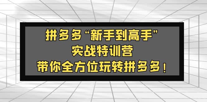 拼多多“新手到高手”实战特训营：带你全方位玩转拼多多-爱省资源网
