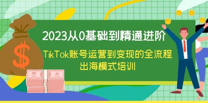 2023从0基础到精通进阶，TikTok账号运营到变现的全流程出海模式培训-爱省资源网