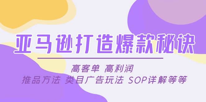 亚马逊打造爆款秘诀：高客单 高利润 推品方法 类目广告玩法 SOP详解等等-爱省资源网