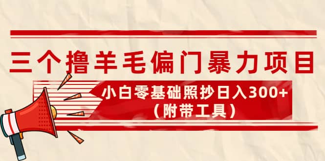 外面卖998的三个撸羊毛项目，小白零基础照抄（附带工具）-爱省资源网