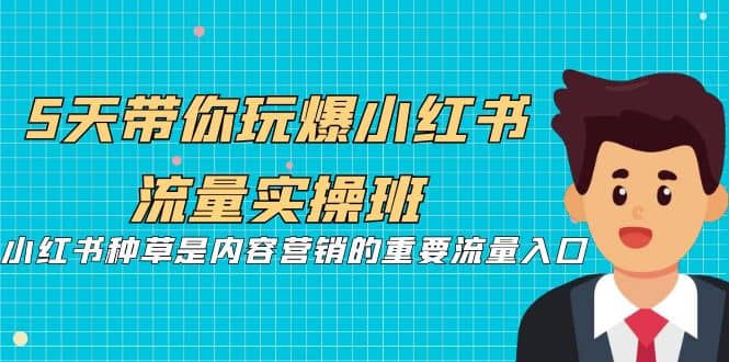 5天带你玩爆小红书流量实操班，小红书种草是内容营销的重要流量入口-爱省资源网