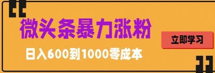 微头条暴力涨粉技巧搬运文案就能涨几万粉丝，简单0成本，日赚600-爱省资源网