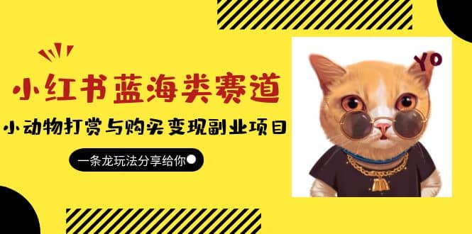 小红书蓝海类赛道：小动物打赏与购买变现副业项目，一条龙玩法分享给你-爱省资源网
