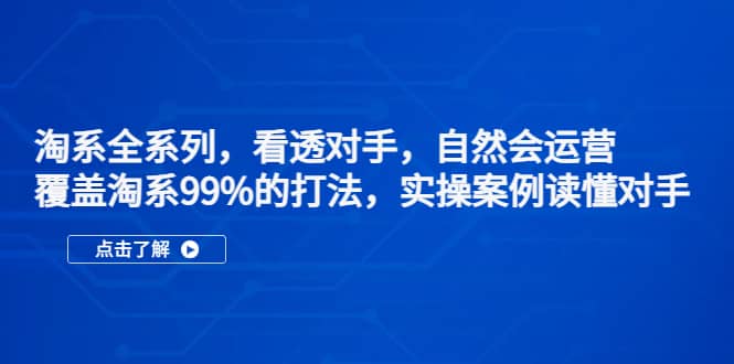 淘系全系列，看透对手，自然会运营，覆盖淘系99%·打法，实操案例读懂对手-爱省资源网