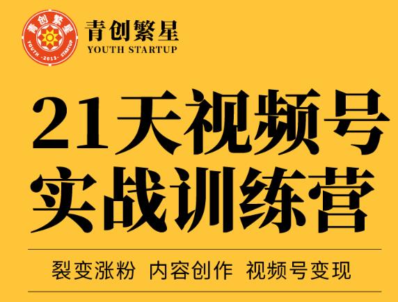 张萌21天视频号实战训练营，裂变涨粉、内容创作、视频号变现 价值298元-爱省资源网