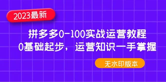 2023拼多多0-100实战运营教程，0基础起步，运营知识一手掌握（无水印）-爱省资源网