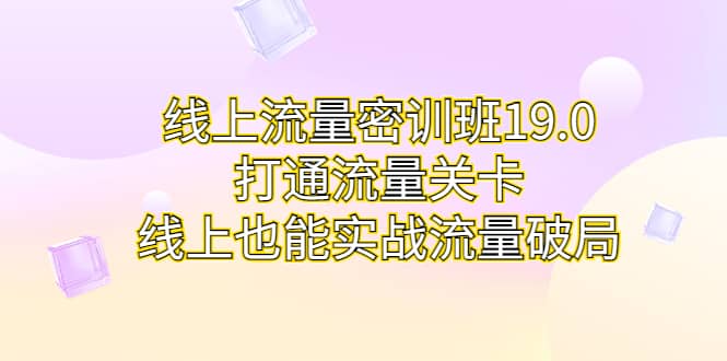 线上流量密训班19.0，打通流量关卡，线上也能实战流量破局-爱省资源网
