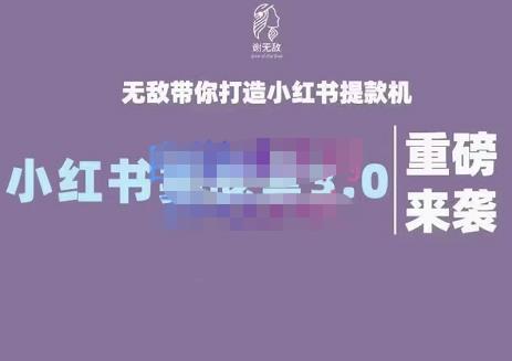 谢无敌·小红书实战营3.0，无敌带你打造小红书提款机 价值7999元-爱省资源网