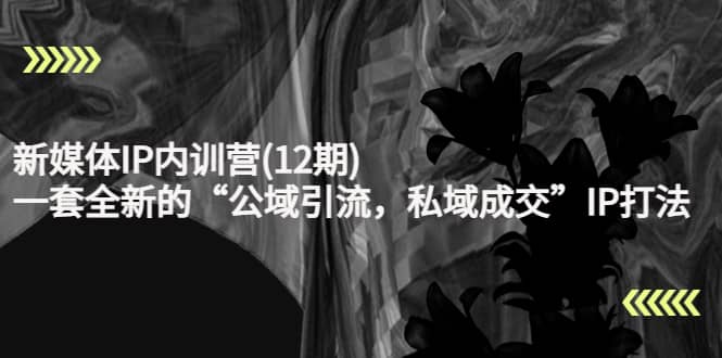 新媒体IP内训营(12期)，一套全新的“公域引流，私域成交”IP打法，直接带走-爱省资源网