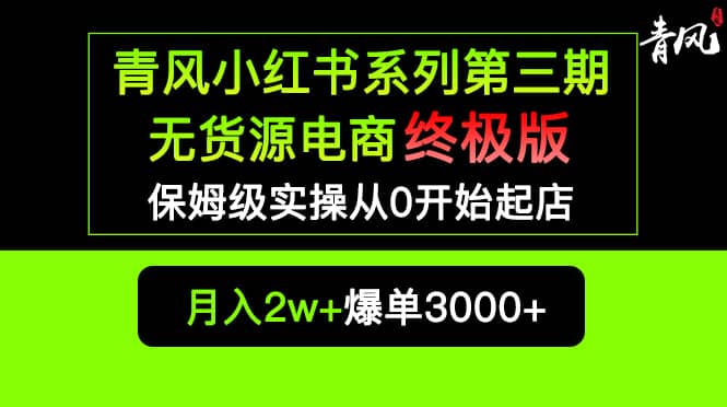 小红书无货源电商爆单终极版【视频教程+实战手册】保姆级实操从0起店爆单-爱省资源网