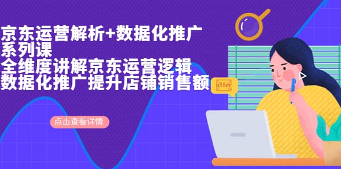 京东运营解析与数据化推广系列课，全维度讲解京东运营逻辑+数据化推广提升店铺销售额-爱省资源网