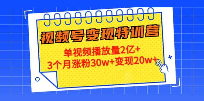 20天视频号变现特训营：单视频播放量2亿+-爱省资源网