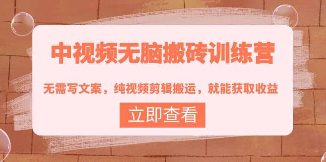 中视频无脑搬砖训练营：无需写文案，纯视频剪辑搬运，就能获取收益-爱省资源网