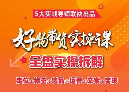 抖音好物带货实操课，全盘拆解抖音好物带货号全套流程打法-爱省资源网