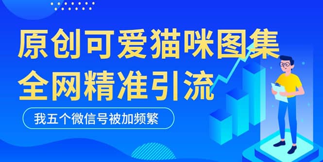 黑科技纯原创可爱猫咪图片，全网精准引流，实操5个VX号被加频繁-爱省资源网