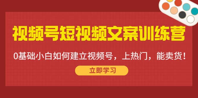 视频号短视频文案训练营：0基础小白如何建立视频号，上热门，能卖货！-爱省资源网