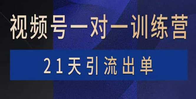 视频号训练营：带货，涨粉，直播，游戏，四大变现新方向，21天引流出单-爱省资源网