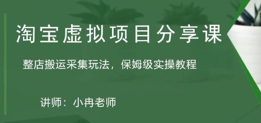 淘宝虚拟整店搬运采集玩法分享课：整店搬运采集玩法，保姆级实操教程-爱省资源网
