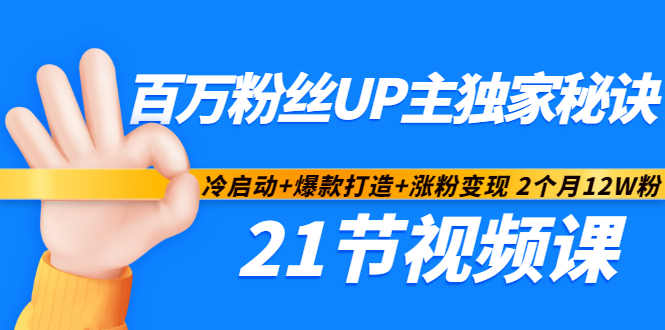 百万粉丝UP主独家秘诀：冷启动+爆款打造+涨粉变现2个月12W粉（21节视频课)-爱省资源网
