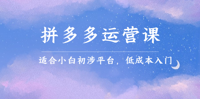 拼多多运营课，适合小白初涉平台，低成本入门-爱省资源网
