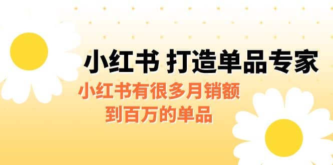 某公众号付费文章《小红书 打造单品专家》小红书有很多月销额到百万的单品-爱省资源网