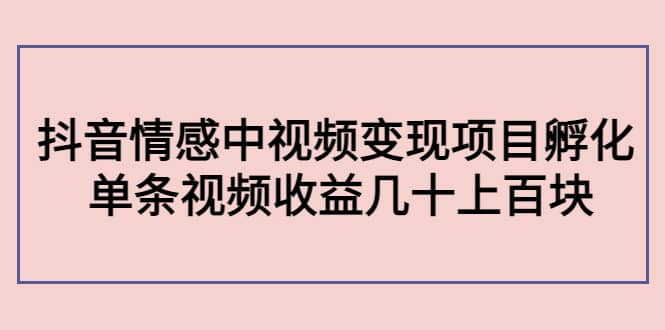 抖音情感中视频变现项目孵化-爱省资源网
