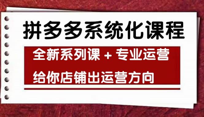 车神陪跑，拼多多系统化课程，全新系列课+专业运营给你店铺出运营方向-爱省资源网