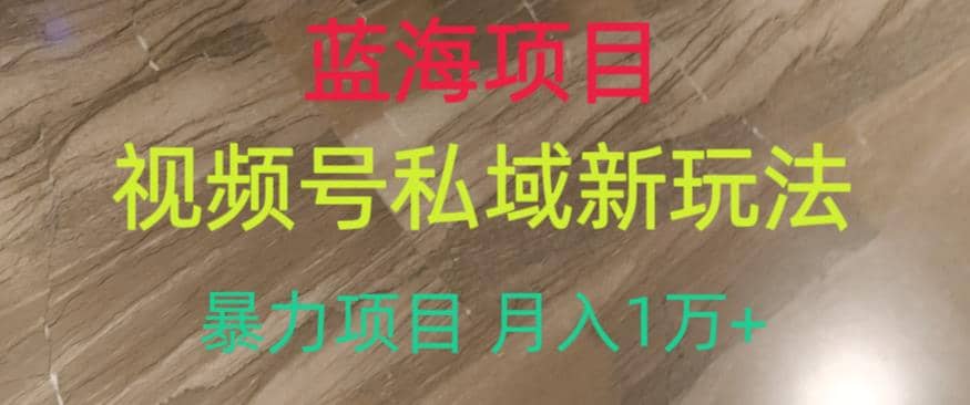蓝海项目，视频号私域新玩法，暴力项目月入1万+【揭秘】-爱省资源网