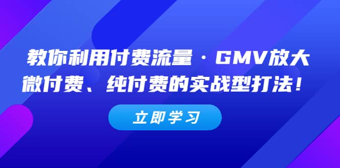 教你利用付费流量·GMV放大，微付费、纯付费的实战型打法-爱省资源网