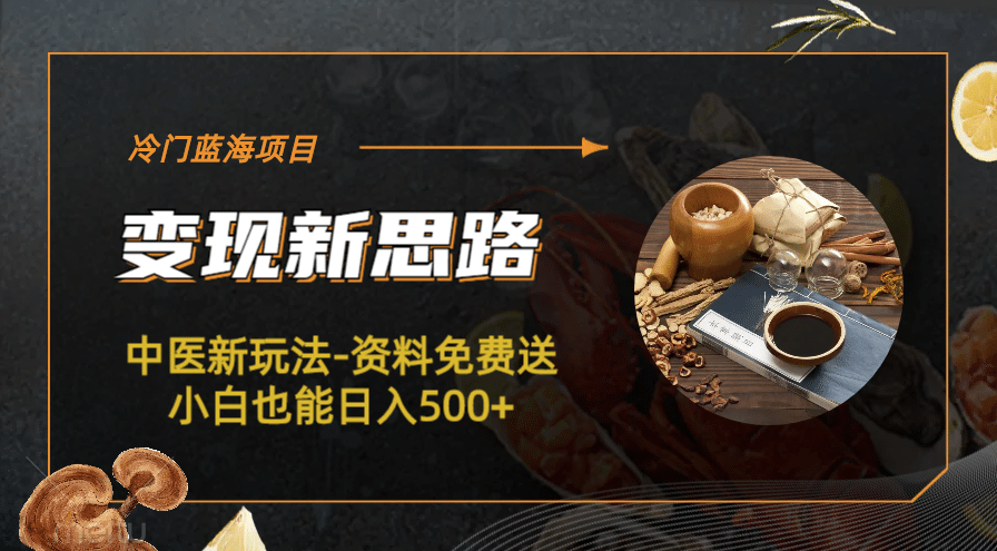 冷门蓝海项目-中医新玩法-冷门蓝海项目-中医新玩法-资料免费送小白也能日入500+500+-爱省资源网