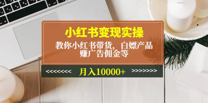 小红书变现实操：教你小红书带货，白嫖产品，赚广告佣金等-爱省资源网