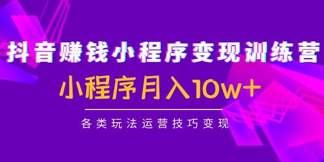 抖音小程序变现训练营：小程序各类玩法运营技巧变现-爱省资源网