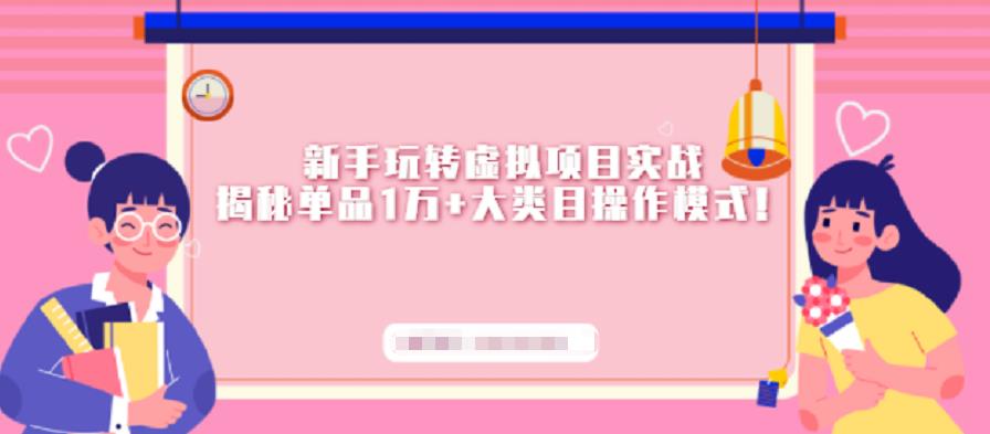 新手玩转虚拟项目实战，揭秘单品1万+大类目操作模式【视频课程】-爱省资源网