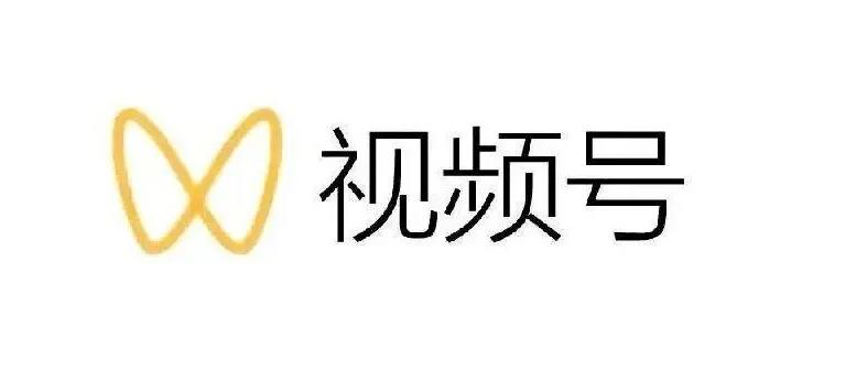 最新视频号解读，视频号真相+变现玩法【视频课程】-爱省资源网