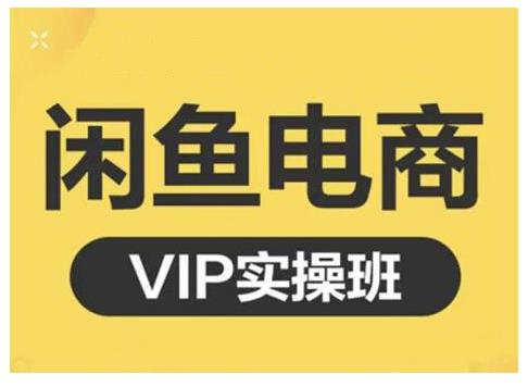 闲鱼电商零基础入门到进阶VIP实战课程，帮助你掌握闲鱼电商所需的各项技能-爱省资源网