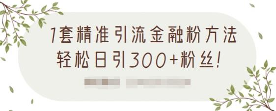 1套精准引流金融粉方法，轻松日引300+粉丝【视频课程】-爱省资源网