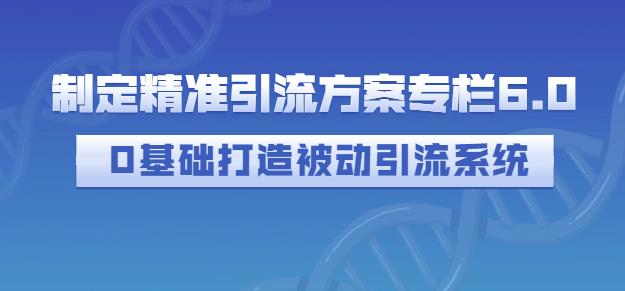 制定精准引流方案专栏6.0，0基础打造被动引流系统-爱省资源网