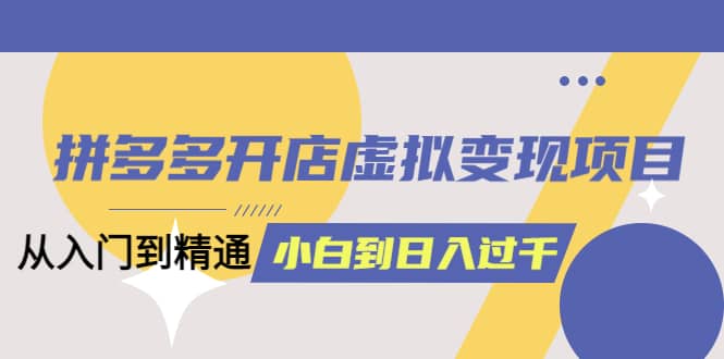 拼多多开店虚拟变现项目：入门到精通 从小白到日入1000（完整版）4月10更新-爱省资源网