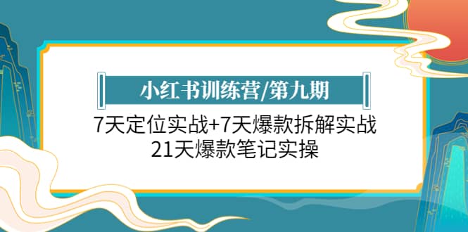 小红书训练营/第九期：7天定位实战+7天爆款拆解实战，21天爆款笔记实操-爱省资源网