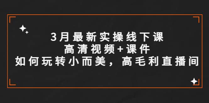 3月最新实操线下课高清视频+课件，如何玩转小而美，高毛利直播间-爱省资源网