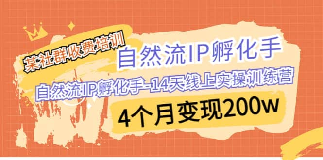 某社群收费培训：自然流IP 孵化手-14天线上实操训练营 4个月变现200w-爱省资源网