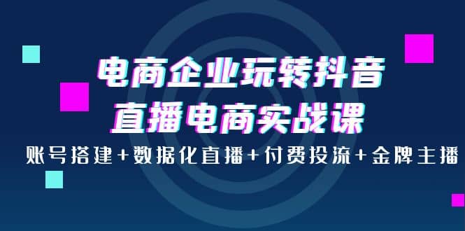 电商企业玩转抖音直播电商实战课：账号搭建+数据化直播+付费投流+金牌主播-爱省资源网