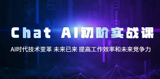 Chat AI初阶实战课，AI时代技术变革 未来已来 提高工作效率和未来竞争力-爱省资源网