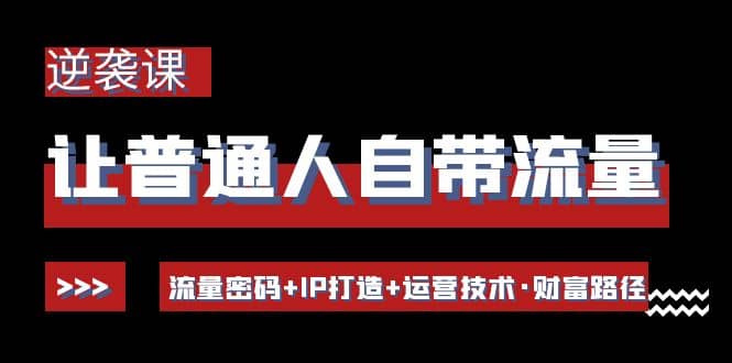 让普通人自带流量的逆袭课：流量密码+IP打造+运营技术·财富路径-爱省资源网