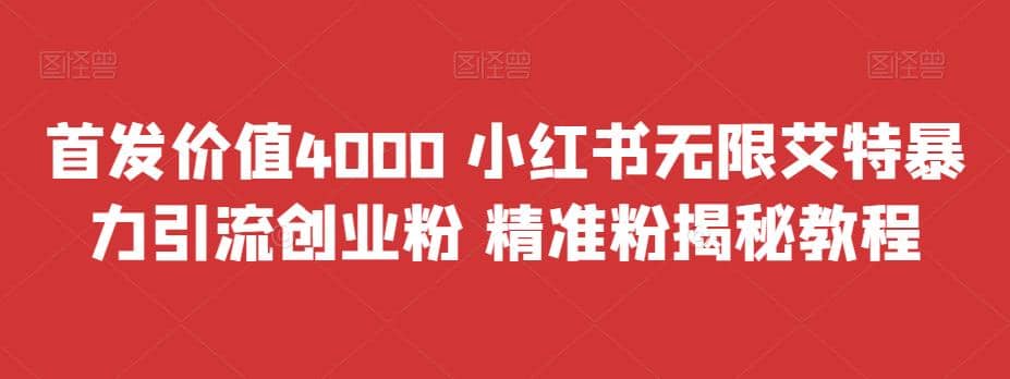 首发价值4000 小红书无限艾特暴力引流创业粉 精准粉揭秘教程-爱省资源网