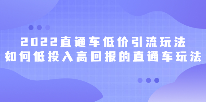 2022直通车低价引流玩法，教大家如何低投入高回报的直通车玩法-爱省资源网
