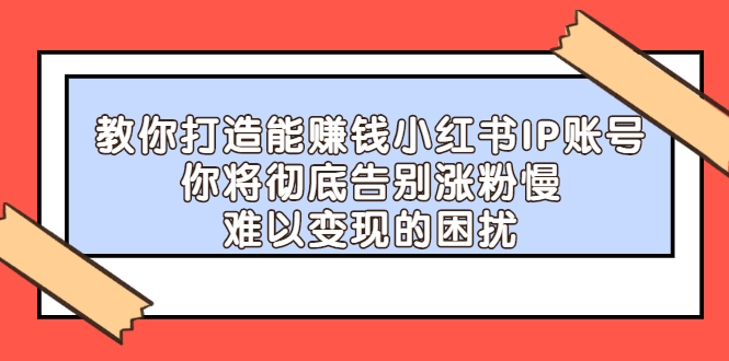 教你打造能赚钱小红书IP账号，了解透彻小红书的真正玩法-爱省资源网
