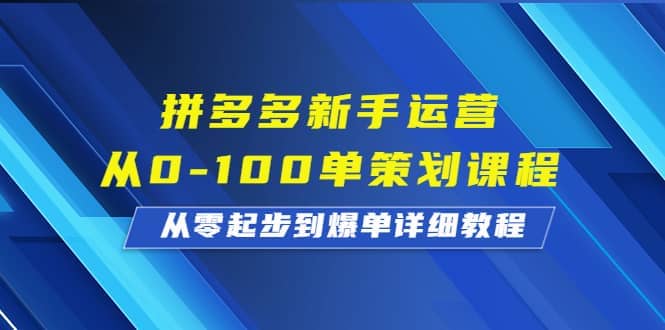 拼多多新手运营从0-100单策划课程，从零起步到爆单详细教程-爱省资源网